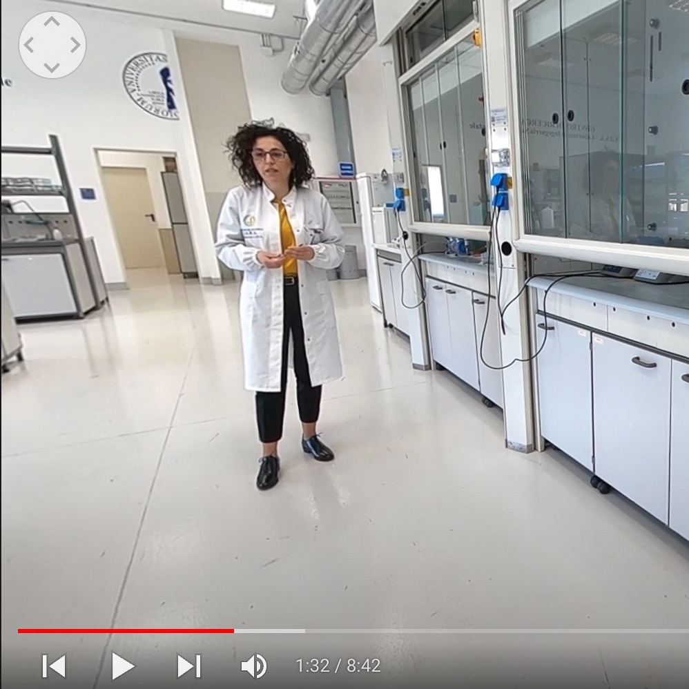 Video LISA